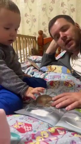 A man and toddler lie on a bed, looking at a book. The man is propped up on his left elbow with his left hand on his head. He is wearing a dark gray sweater over a white t-shirt and a gold necklace. The toddler is wearing a gray long-sleeve shirt and blue pants. The toddler is sitting up next to the man, touching the book. The book is open to a page with a drawing of an animal. A crib stands behind the toddler. The bed has a colorful quilt. A floral wallpaper covers the wall behind the bed.