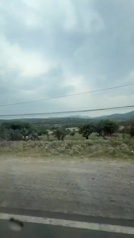 The video shows a landscape taken from inside a moving vehicle, likely a car or truck. The vehicle is moving on a paved road that runs parallel to an unpaved shoulder. The landscape is relatively flat with sparse vegetation, including small trees, bushes, and cacti. In the distance, there are low hills or mountains under a cloudy sky. Power lines run across the top of the frame. Occasionally, telephone poles and warning markers appear beside the road. The vehicle's side mirror is visible in the frame, reflecting a white vehicle behind it. The overall impression is a somewhat desolate or rural landscape on an overcast day.