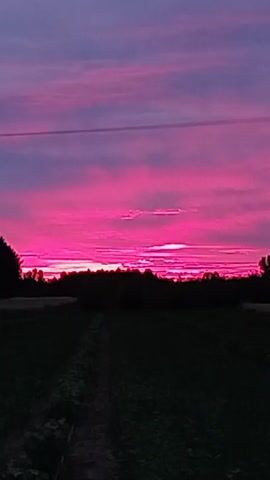 This media file captures a vibrant sunset over a rural landscape in Rozniszew, Poland. The sky is a dramatic display of pink and purple hues, with distinct bands of color stretching horizontally across the frame. Wispy clouds are illuminated by the setting sun, creating a textured and dynamic atmosphere.

In the foreground, a dark, silhouetted field stretches into the distance, with hints of vegetation. A narrow path or track is visible leading through the field. A dark line of trees or a hedgerow forms a natural border between the field and the sky. A solitary utility pole with wires is also visible against the colorful sky, indicating human presence and infrastructure within this natural setting.

The time of day is clearly sunset, as evidenced by the intense coloration of the sky. The weather appears calm, with the clouds suggesting a partly cloudy sky. The overall mood is peaceful and awe-inspiring, highlighting the natural beauty of the Polish countryside at dusk. No people or text are visible in the media file.