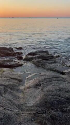 This is a short video taken at sunrise over the ocean. The camera is positioned low to the ground, looking out over rocky shore with shallow pools of water. In the distance, a small island with trees and buildings is visible, with the sun rising behind it. The sky is a soft gradient of orange and pink. The water is calm and reflects the colors of the sky. There are no people visible in the video.