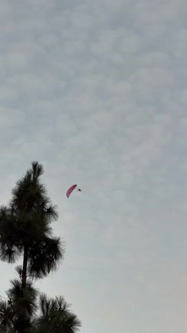 A paraglider in a red wing is visible in the sky against a cloudy backdrop. The paraglider is seen from below and to the side, with a tree in the foreground partially obscuring the view. The paraglider appears to be in flight, with a person visible underneath the wing. The video is short, showing the paraglider moving through the air.