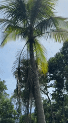 Tourist captures morning moments exploring Ko Phangan, Thailand