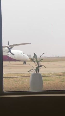 A small propeller plane, with Arik printed on its tail, is visible through a window. The plane is on a runway and its propellers are spinning. A potted plant sits in the foreground, between the viewer and the window. The day is overcast and visibility is somewhat limited.