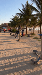 Đà Nẵng Beach Life: Exercise, Sunset, and Leashed Cats
