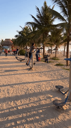 Đà Nẵng Beach Life: Exercise, Sunset, and Leashed Cats