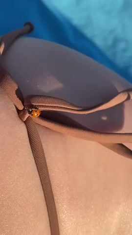 The video shows a close-up view of a person's skin, likely their back or hip, wearing a brown bikini. A ladybug is visible on one of the bikini strings. The background is a blurry blue surface, possibly a towel or lounge chair. The lighting suggests it is daytime, with sunlight casting shadows. The video is short and focuses entirely on the ladybug and the bikini.