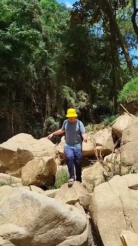 A man wearing a yellow bucket hat, a light blue t-shirt, dark blue convertible pants, and open-toed sandals with a black backpack is seen carefully walking down and across a rocky riverbed in a forest. His left arm is bent at the elbow, and he carries a black backpack on his back. He is stepping from one large, tan-colored rock to another. The forest has many green trees and some tall grass. The sky is blue.