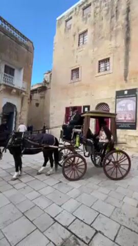 The video shows a few horse-drawn carriages in an outdoor urban area, possibly a town square. The ground is paved with square stones. The buildings surrounding the area are old, with beige stone facades and multiple stories. One carriage has a black horse and a driver in a dark coat and hat. Two passengers are seated in the carriage. Another carriage has a brown horse draped in a red blanket. A few people are walking around, browsing in shops or waiting. A gray car is parked near one of the carriages. The sky is blue with scattered clouds.