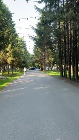 A person is riding a bicycle down a paved path lined with tall evergreen trees. The path is wide enough for two people to walk side-by-side, and there is a grassy area to the left of the path. Overhead, strings of lights are strung between the trees. The sun is shining, casting shadows on the path, indicating it is daytime. In the distance, there are a few cars parked and other people walking. The overall scene suggests a park or a tree-lined avenue.