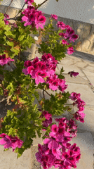 Morning walk documented in Mont-roig del Camp, Spain
