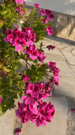 Morning walk documented in Mont-roig del Camp, Spain