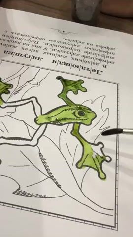 The video shows a close-up of a page of a book that is being colored in. The page has an illustration of a frog on it, and the frog is partially colored in with a green watercolor paint. Two paintbrushes are being used to color the frog. One paintbrush is applying green paint to the frog's foot, and the other paintbrush is applying green paint to the frog's body and leg. The text above the illustration is in Russian and appears to be an educational text about frogs. The background is blurred, but it appears to be a wooden surface, possibly a table. The lighting is natural and appears to be coming from overhead.