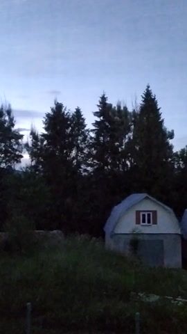 A vertical video captures a twilight scene with two small buildings nestled among trees. The building in the foreground is white with a gray base and a red-trimmed window on its gable. A second building, partially visible behind and to the right, appears to be made of wood and has a darker roof. Tall evergreen trees dominate the mid-ground, their dark silhouettes contrasting with the pale, cloudy sky. The foreground on the right is filled with tall, dark green grass. The overall impression is a quiet, somewhat rustic setting at dusk.