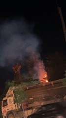 Large fire breaks out among trees in Safi, Morocco