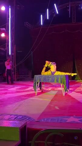 A circus stage is shown with a woman contortionist on a table in a full front-split with her head back, holding both feet. She is wearing a yellow sequin costume. There is a performer to her left, slightly behind her, wearing a tuxedo and singing into a microphone. The floor of the stage has red, white, and yellow lines radiating from the center. There are curtains in the background, along with lighting structures and rigging. The lighting is bright and colorful.