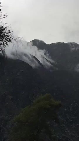 A vertical video shows a dark, mountainous landscape under an overcast sky. Wisps of white fog drift across the slopes of the mountains. In the foreground, the tops of two trees are visible, with one tree in the lower right appearing to be shaking in the wind. The overall impression is one of a cool, damp day in a remote, natural setting.