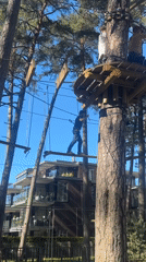 Adventure park visitors navigate treetop ropes course in Jūrmala