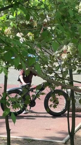 Two people are by a fat tire bicycle in an outdoor environment. The bicycle has a black frame, red accents, and a bag attached to the handlebars. The people are partially obscured by the foliage of a tree. One person wears a brown shirt and the other wears a green shirt with blue pants that have white stripes on the sides. The ground is red, and there is a concrete planter in the background. The video appears to be shot from a distance, through the branches of a tree.