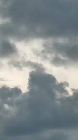 The video shows a close-up view of a cloudy sky with some trees visible in the lower part of the frame. The clouds are dark gray and appear to be moving. The lighting suggests it is either early morning or late evening, or that the weather is overcast. There are no people or any discernible objects other than the clouds and trees. The camera is positioned looking upwards.