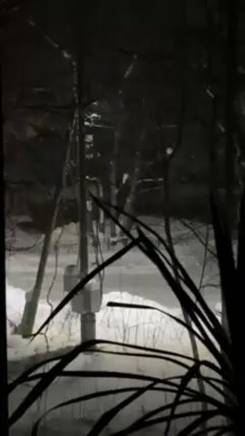The scene is an exterior shot taken at night, through what appears to be a window with a plant in the foreground. The view is dominated by a street covered in snow, with a street lamp providing illumination. Trees and bare branches are visible around the street, adding to the wintry atmosphere. There is a utility pole and a small structure near the road. The overall ambiance is dark and somewhat obscured by the foliage in the immediate foreground.