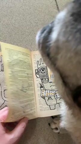A pug dog is looking down at an open book. A human hand is holding the book open and pointing to an illustration on the right page. The illustration is of a face with multiple eyes, a nose, and a mouth, drawn on top of text from a book. The dog's head is in the foreground, obscuring part of the book and the hand. The background appears to be a tiled floor.