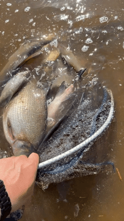 Early morning fishing session with catch and release in Chaykovsky