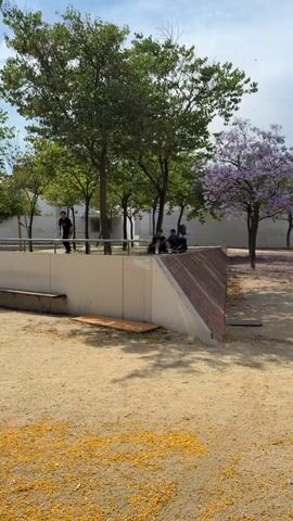 A skateboarder in a black t-shirt and black pants approaches a concrete ledge with a metal railing. They jump and appear to be performing a trick, with their arms extended. The skateboarder lands and continues to run, their skateboard visible on the ground to their left. In the background, several trees, including one with purple flowers, line a paved area. Other individuals are seated on the ledge in the background. The ground is covered in gravel and yellow debris.