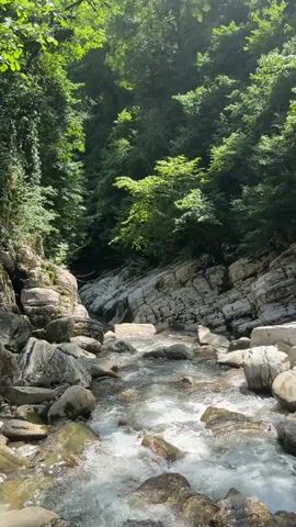 This is a vertical, close-up video of a clear, shallow river flowing through a rocky gorge. The riverbed is filled with smooth, rounded stones of various sizes, and the water is actively moving, creating small rapids and white foam as it cascades over them. Sunlight filters through the dense green foliage of trees that line the steep canyon walls, casting dappled shadows on the rocks and water. The trees are lush and vibrant, suggesting a warm, possibly summer day. The scene evokes a sense of natural tranquility and the invigorating presence of untouched wilderness. The location is identified as Khleborob, Russia. There is no visible text in the video.