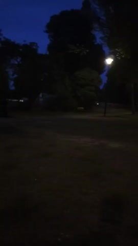The video shows a person walking along a dimly lit path in a park at dusk or night. Streetlights illuminate the path and trees lining the walkway. The sky is dark blue. There are benches visible along the path. In the background, there are indications of a road and buildings, with some faint lights suggesting activity. The ground is covered in grass and paved sections.