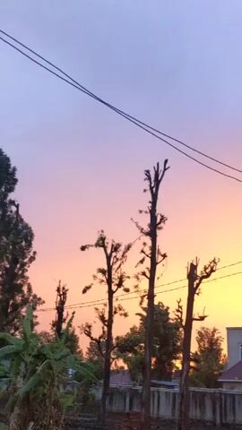 The video shows a sunset scene in a residential area. The sky is a gradient of purple, orange, and yellow, indicating the time of day. Silhouetted trees and utility lines are in the foreground. In the background, a two-story house with a red roof is visible. The camera slowly pans to the right.