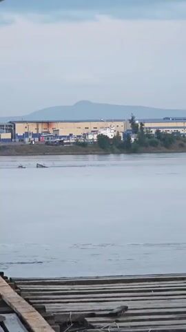The video shows a wide, calm body of water. In the foreground, there is a wooden structure, possibly a dock or pier, composed of planks. In the middle ground, there are some objects partially submerged in the water, appearing to be parts of a boat or debris. In the background, across the water, there is a long, low building with a light-colored facade and a darker roof. Behind the building, a muted mountain range is visible under an overcast sky. The overall scene appears to be an industrial or waterfront area.
