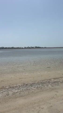 The video shows a calm body of water, likely a lake or shallow sea, with a sandy shore in the foreground. The water is a muted blue-gray, reflecting the overcast sky. The shore is a mixture of sand and what appears to be dried salt or mud, with some debris scattered about. On the right side of the frame, the back half of an orange all-terrain vehicle (ATV) is visible, parked on the sand. The ATV is dusty, suggesting it has been used recently. The background features a distant treeline, possibly indicating a coastal or lakeside settlement. The overall atmosphere is serene and somewhat desolate.