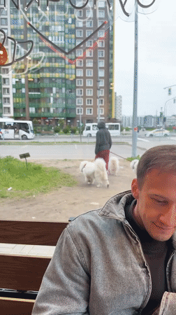 Man watches dog walker with three white dogs in Murino