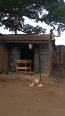 Men repair roof using ladder in Barden Yana