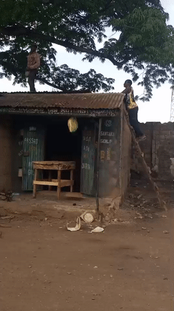 Men repair roof using ladder in Barden Yana