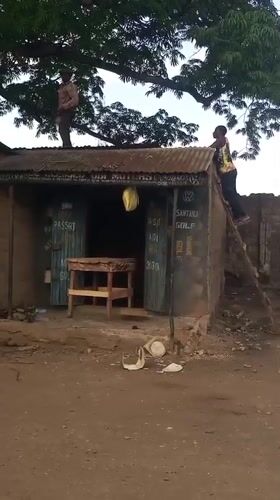 Men repair roof using ladder in Barden Yana