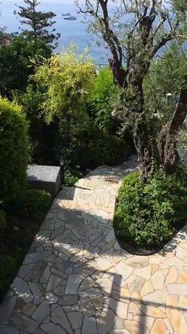 The video opens with a view of a sunlit garden overlooking the sea. A stone pathway winds through lush greenery, with a large olive tree prominently featured on the right. In the distance, the blue ocean is dotted with several large yachts. The camera then zooms in closer to the yachts, which appear to be anchored or moving slowly. The water is calm, and the sky is clear and bright. The overall impression is one of a serene and luxurious coastal setting.