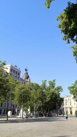 The video shows an outdoor plaza on a sunny day. The sky is a clear, bright blue. Lush green trees line the sides of the plaza, with their leaves rustling slightly in the breeze. In the background, several buildings are visible, some with ornate architecture. One building features a domed roof topped with a statue. The plaza itself is paved with cobblestones. A few people are present: a person on a bicycle is visible in the distance on the left side of the frame, and a single person in blue is walking away from the camera on the right side of the frame. The overall atmosphere appears calm and serene.