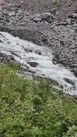 This media file shows a flowing river in a mountainous region. The river is fast-moving and appears to be of significant volume, with white water churning over rocks. The banks of the river are lined with lush green vegetation, including bushes and trees. In the background, steep, rocky slopes rise up, covered in patches of green grass and scattered trees. The overall scene suggests a natural, wild landscape, likely in a remote area. The terrain is rugged and uneven, characteristic of a mountain environment. The presence of the river indicates a possible glacial meltwater source or significant rainfall contributing to its flow. The time of day appears to be daytime, and the weather seems to be overcast or possibly rainy, given the muted light and the damp appearance of some ground areas. The location is identified as Dhundi, India, a region known for its mountainous terrain and natural beauty. There are no visible people or man-made objects in the immediate foreground or mid-ground, emphasizing the natural, untouched quality of the scene. The distant slopes show some signs of vegetation, including coniferous trees, suggesting a high-altitude environment. The raw power of the river and the ruggedness of the landscape create a sense of awe and the untamed force of nature.