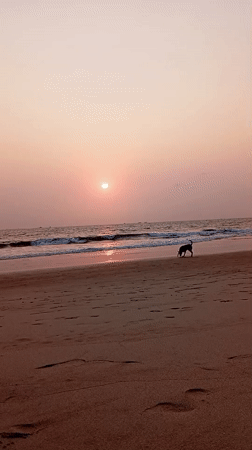 Sunset captured on video at Arambol Beach, India