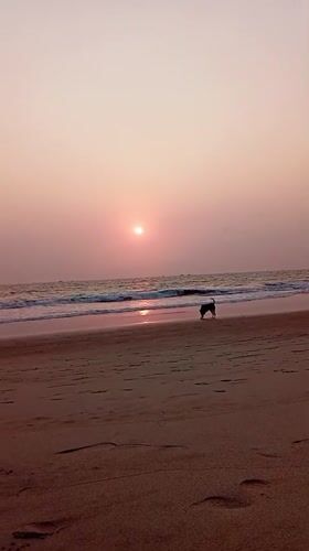 Sunset captured on video at Arambol Beach, India