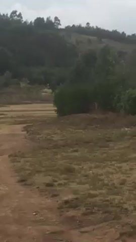 The video shows a landscape with a grassy field, trees in the background, and an overcast sky. In the first few seconds, two animals, possibly deer or similar livestock, are visible in the field. As the video progresses, the camera shifts perspective, revealing a small building and what appears to be an electrical structure in the field. Later in the video, several small figures of people appear in the distance, moving around in the field. The overall environment appears rural or pastoral.