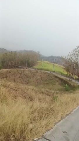The video shows a view from a moving vehicle, likely a car or motorcycle, traveling along a paved road. The scenery is rural, with rolling hills covered in dry grass and sparse vegetation. In the foreground, the dry grass is prominent, with patches of dirt and some scattered debris. A winding paved road is visible on the right side of the frame. Further into the background, there are more hills, some appearing to be agricultural fields with patches of green crops. Trees, mostly deciduous with bare branches, are scattered across the landscape. The sky is overcast, creating a diffused light. There are no people or animals visible in the frame. The overall impression is of a somewhat arid or dry rural environment, possibly during a dry season or in a region with sparse foliage.