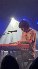 Musician performs on keyboard at Vienna venue