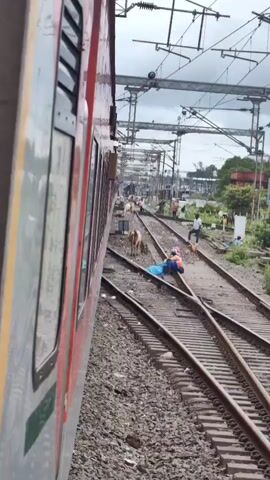 The video shows a train moving on tracks. In the background, there are several people and some cattle near the tracks. One person is lying on the tracks, and another person is kneeling nearby, possibly attending to them. Several other individuals are standing or walking around, and some appear to be working on the tracks. The environment includes trees and vegetation along the side of the tracks, and there are overhead electrical wires for the train. The sky is overcast.