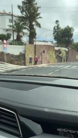 The video shows a view from inside a car looking out at a mural on a wall next to a street. The mural depicts a person in silhouette, dressed as a farmer with a hoe. There are also silhouettes of plants. Two people are standing in front of the wall, and a crosswalk is visible in the street. The sky is cloudy.