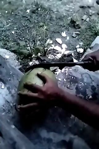 A person uses a machete to open a green coconut. The person is holding the coconut in their left hand and using the machete with their right. The coconut is sitting on a gray stone surface, and there is debris like coconut husks and small vegetation around. The video is shot from a high angle.
