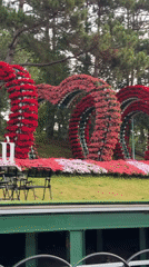 Evening recreation and flower displays captured around Da Lat lake