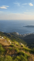 Scenic Montenegro landscape captured with dog in hillside setting