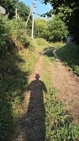 A shadow of a person wearing a hat is seen walking on a dirt path. The path is flanked by overgrown grass and trees. In the background, there are power lines and a wooden structure. The sun is casting long shadows, indicating it is either early morning or late afternoon.